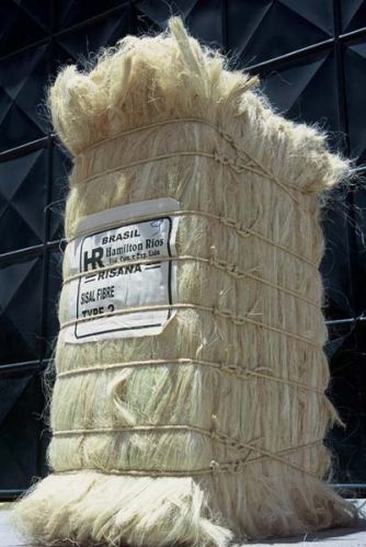 Sisal Fiber- Type 2, Brand Name : Risana