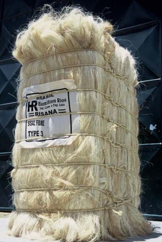 Sisal Fiber- Type 3, Brand Name : Risana