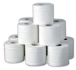Toilet Paper Rolls