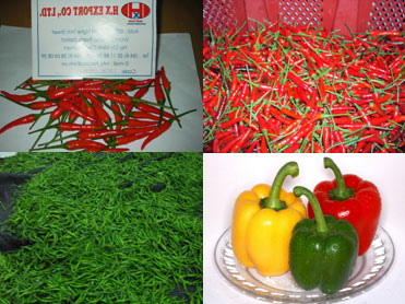 Fresh Chilli, Dry Chilli