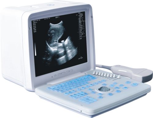 Ultrasound Scanner, Brand Name : kaier