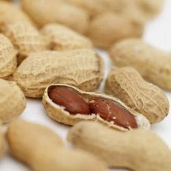 Shelled Groundnuts