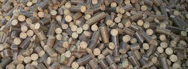 Agro Waste Briquettes