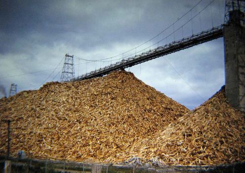 Wood Pulp