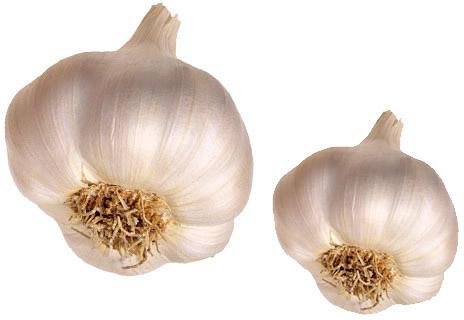 Garlic, Certification : FSSAI Certified