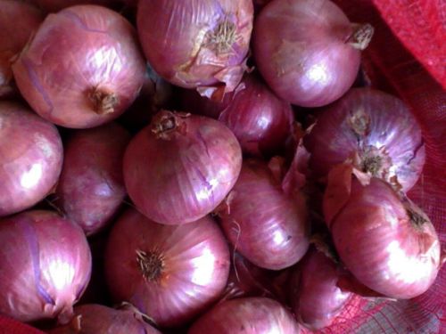 Red onion For Cooking