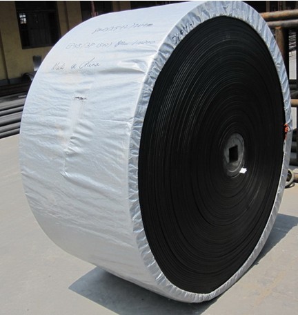 Nylon Conveyor Belt