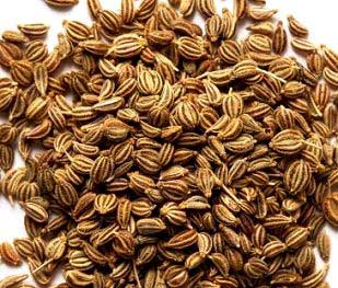 Common Ajwain Oil, For Food Flavoring, Medicine, Feature : Antioxidant, Good For Health, Non Harmful