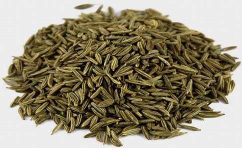 Caraway Oil, Botanical Name : Carum Carvi