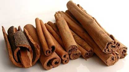 Cinnamon Bark Oil, For Health Problem