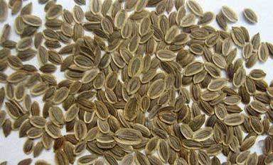 Dill Seed Oil, For Reduces Digestive Problme, Packaging Size : 100ml, 200ml, 250ml, 50ml