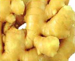 Ginger Oil, For Cooking, Medicine, Packaging Size : 100ml, 1ltr, 250ml, 25ml, 500ml, 50ml
