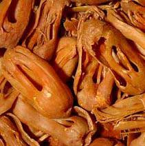 Mace Oil, For Industrial, Massage, Form : Liquid