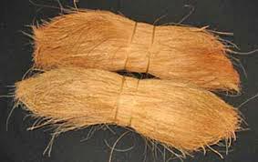 Coir Fiber, Fiber Length : 10 Cm To 25 Cm