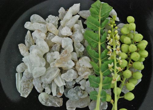 Frankincense