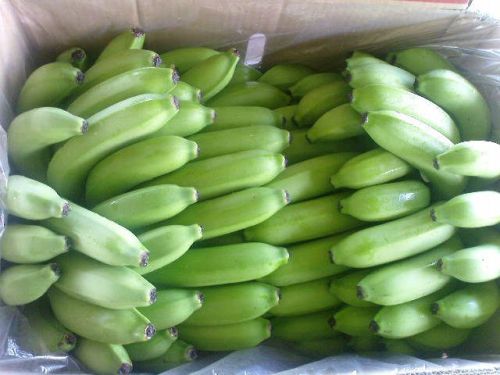 Fresh Cavendish Banana, Brand Name : Delmonte