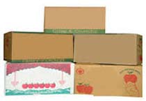 Fruit Corrugated Boxes