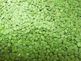 Green Coffee Beans