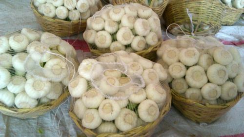 Garlic, Storage : Cool, Dry Place