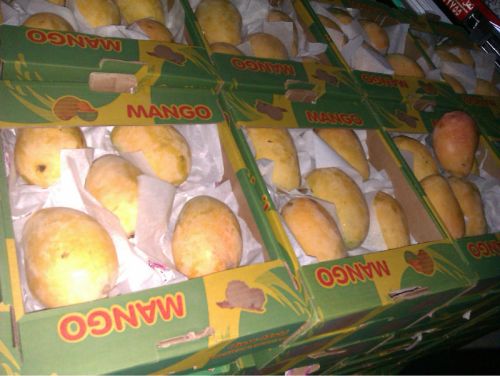 Mango, Brand Name : ELBARDY, Certification : ISO9001