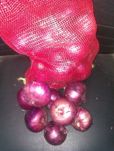 Onion, Brand Name : elbardy