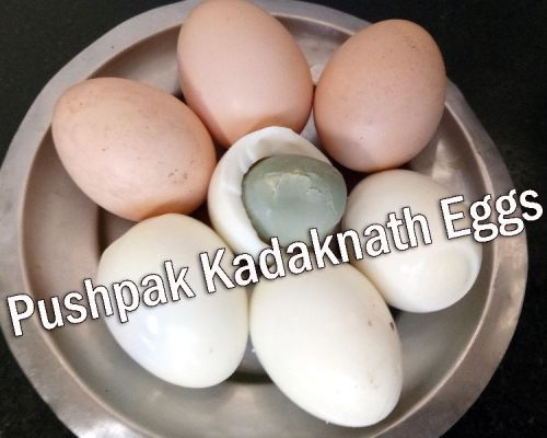 Kadaknath Poultry Eggs, For Food