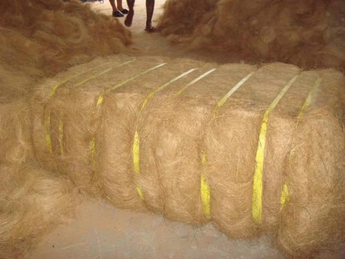Coconut Fibre