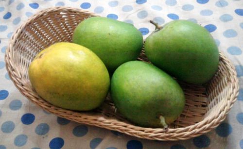 Fresh Mango,fresh Mango, Packaging Type : Corrugated Box, Wooden Carton