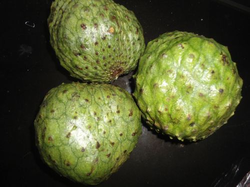 Soursop Fruit, Color : Green