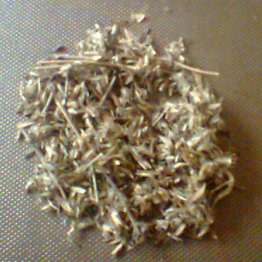 Stylo Hamata Grass Seed