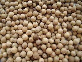 Black Pepper, White Pepper