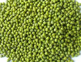 Mung Bean