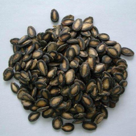Sweet Watermelon Seed