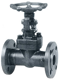 150 Class Gate Valves