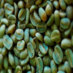 Green Coffee Beans