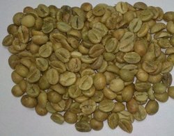 Raw Robusta Coffee Beans