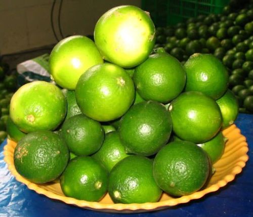 Fresh Seedless Lemon