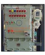 Atex Flameproof Programmable Logic Control Panel