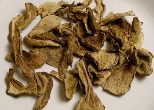 Dried Mushroom