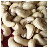 CASHEW NUT KERNEL