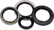Oil Seal