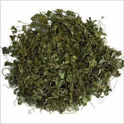 Dried fenugreek leaves, Storage Condition : Dried