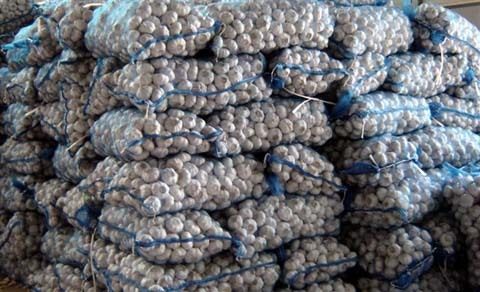 Garlic, Storage : Cool, Dry Place