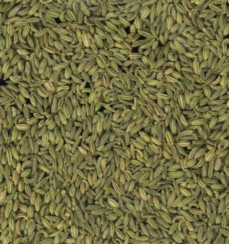 Fennel Seeds