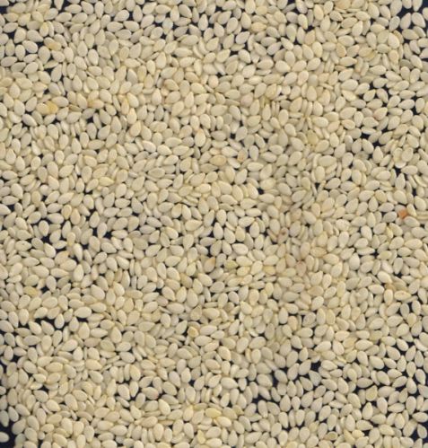 Hulled Sesame Seeds