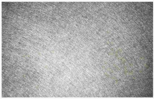 Stainless Steel Sintered Fiber Felt