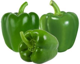 Fresh Capsicum, Color : Green