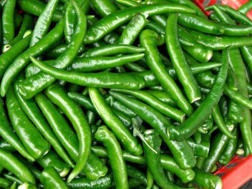 Organic Fresh Green Chilli, Style : Red