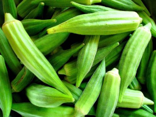 Organic Fresh Okra