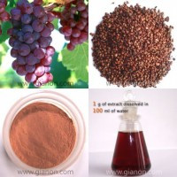 Grape Seed Extract, Packaging Type : Reddish brown